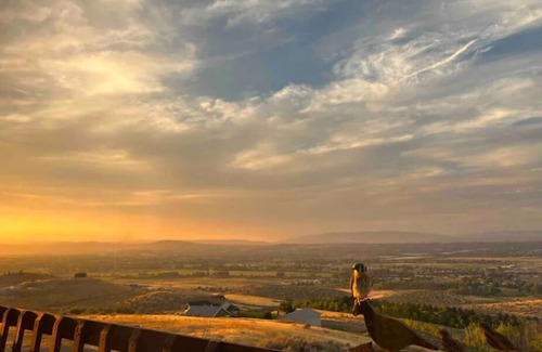 Brownstown Apartamento | The View House—Just minutes from SOZO.