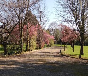 Knockaderry Cross Roads Casa | The Wandering Donkey Guest House