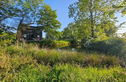 Woodbridge Apartamento | The Water Shack - Amazing tiny house retreat