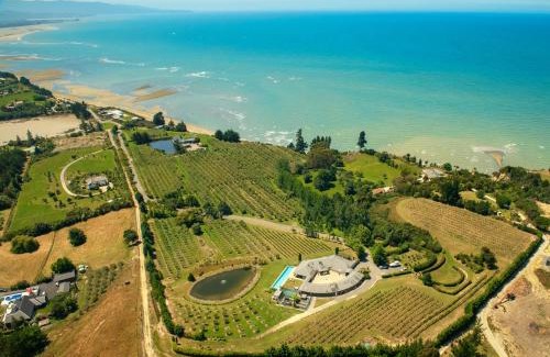 Tasman Cabina | The Waters