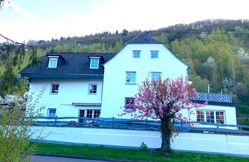 Krov Apartamento | The Way - Guesthouse Natural Mosel