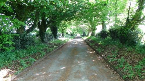 Dungannon Casa | The Weaver's Cottage