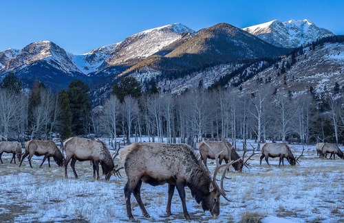 Estes Park Cabaña | The Whispering Pines beckons adventurers seeking an escape unlike any other.