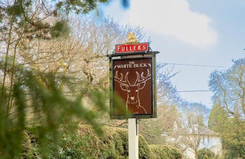 New Forest District Hotel | The White Buck
