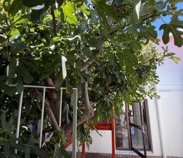 Cape Town City Centre Villa | The White House - Zonnebloem