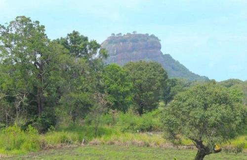 Sigiriya Hotel | The Wild Elephant Resort