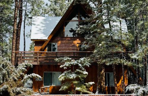 Big Bear City Casa | The Wilkie Cabin #339