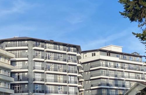 Nuwara Eliya Apartamento | THE WIND LILY - Lake View Luxury Apartment
