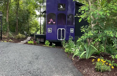 Kodak Casa | The Wizard's Trolley of the Forgotten Forest