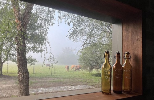 Wollombi Casa | THE WOLLOMBI PAVILION