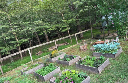 Woodstock Casa | The Woodstock Retreatment