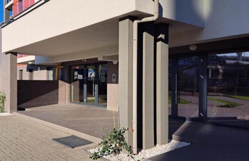 Tirgu Mures Apartamento | The World Apartament II