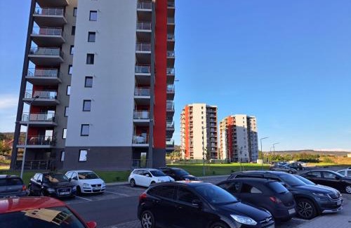 Tirgu Mures Apartamento | The World Apartament II