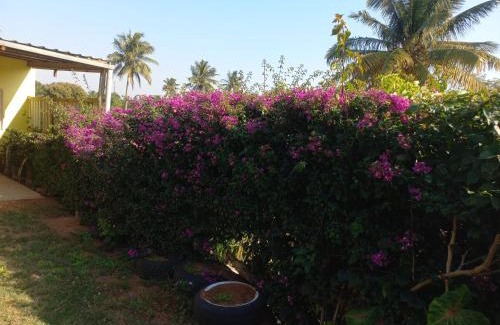 Xai-Xai Apartamento | The Yellow House