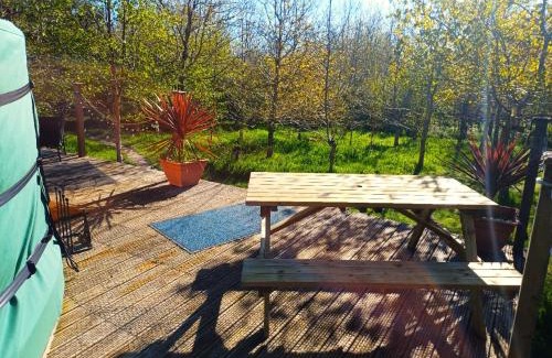 Saint Erth Praze Otro | The Yurt in Cornish woods a Glamping experience