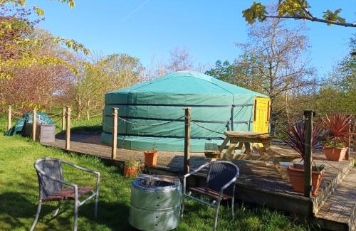 Saint Erth Praze Otro | The Yurt in Cornish woods a Glamping experience