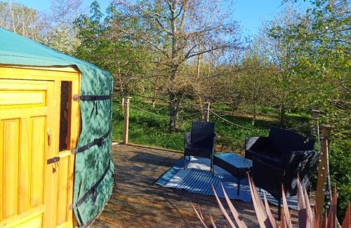 Saint Erth Praze Otro | The Yurt in Cornish woods a Glamping experience