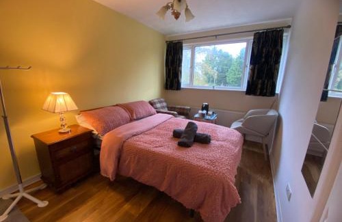 Reading Apartamento | The ZX Hotel - Street View - Room 2