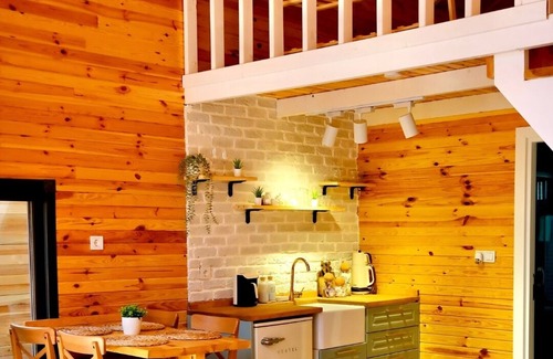 Sapanca Chalet De Esquí | THEA Sapanca