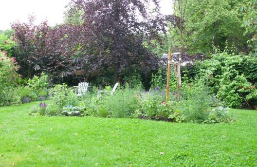 Wijckel Cama Y Desayuno | Theetuin en B & B 'De Theetuin'