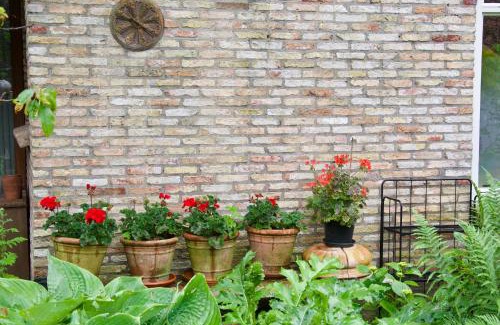 Wijckel Cama Y Desayuno | Theetuin en B & B 'De Theetuin'