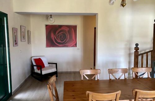 Agia Marina Apartamento | Themis apartment