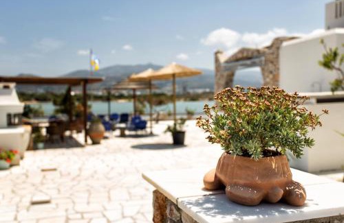 Antiparos Apartamento | Theologos Beach