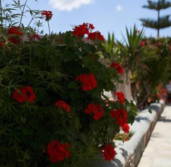 Merichas Apartamento | THIRAMNIA KaGa kythnosuites