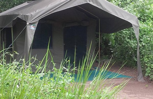 Moremi Otro | Third Bridge Mobile Camp