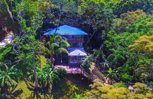Sandy Bay Apartamento | Jungle Reef Inn, Casa Tropical Treehouse II