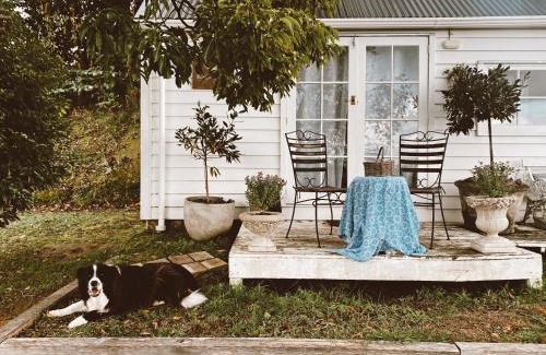 Tauriko Casa | Thistle Orchard Cottage