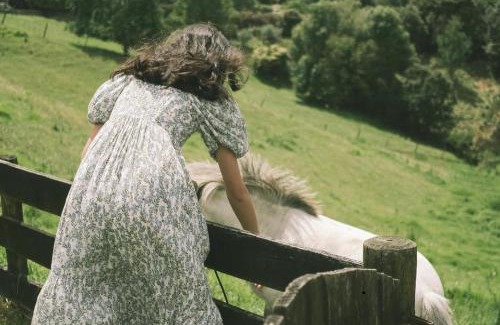 Tauriko Casa | Thistle Orchard Cottage
