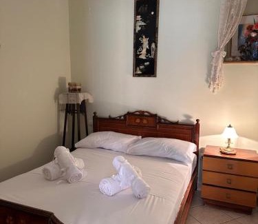 Ionia Apartamento | Tholopotami traditional apartment