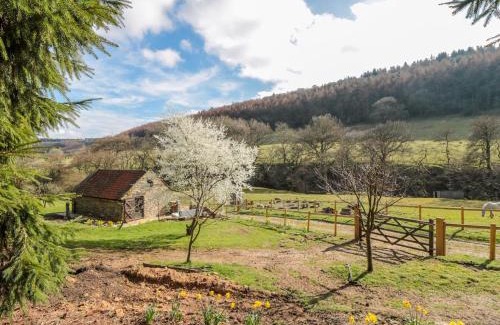 Scarborough Casa | Thompson Rigg Barn