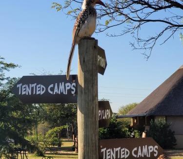 Hammanskraal Otro | Thorn Tree Bush Camp