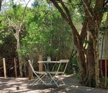 Buffalo Hills Game Reserve Apartamento | Thornybush, Bridge Cottage