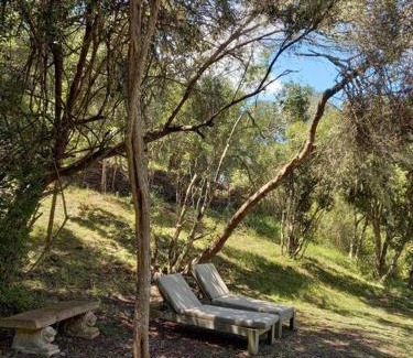 Buffalo Hills Game Reserve Apartamento | Thornybush, Bridge Cottage
