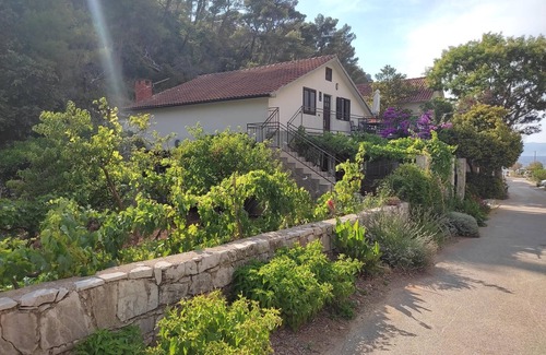Zastrazisce Apartamento | Apartamento de tres habitaciones con terraza y vista al mar Bahía Vela Stiniva, Hvar (A-19951-a)