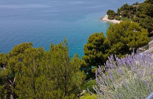 Brela Apartamento | Apartamento de tres habitaciones con terraza y vista al mar Brela, Makarska (A-19205-c)