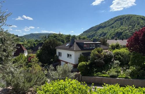 Neckarsteinach Apartamento | Three-castle-view in a new appartment