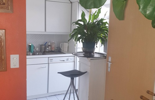 Coulouvreniere Rois Apartamento | Three rooms with private bath in a lovely den in Geneva's centre