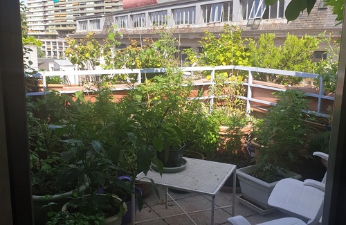 Coulouvreniere Rois Apartamento | Three rooms with private bath in a lovely den in Geneva's centre