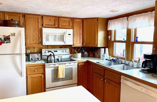 Boyne Falls Cabina | Thumb Lake Family Cabin - perfect getaway on the water!