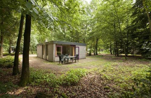 Epe Casa | Bungalow bien amueblado con chimenea en Veluwe