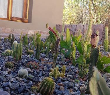 Tilcara Apartamento | Tierra Primitiva