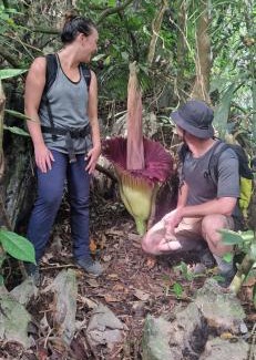 Bukit Lawang Casa | Tiga dara guest house jungle trekking
