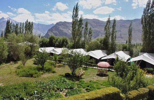 Nubra Valley Otro | Tiger Camp Nubra