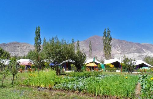 Nubra Valley Otro | Tiger Camp Nubra