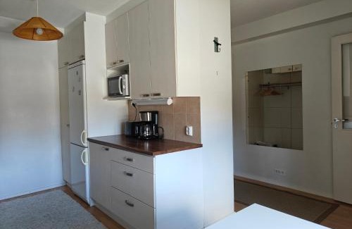Lapinlahti Apartamento | Tilava kaksio Lapinlahti keskusta