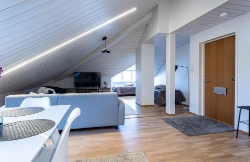 Downtown Kuopio Apartamento | Tilava kattohuoneisto ydinkeskustassa, edullinen parkkipaikka autolle lähellä